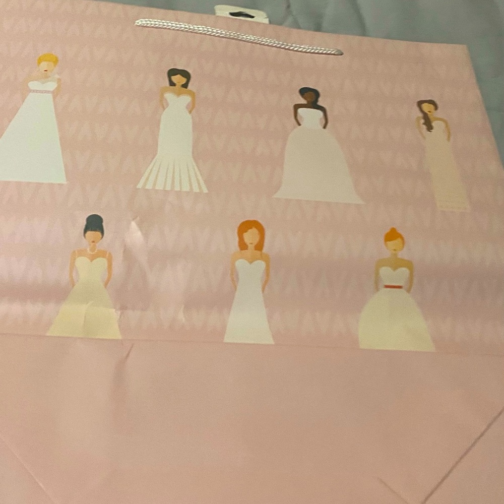 Gift Bags For Bridal Shower Bundle Of 2 Pink Never  Used Small Markings